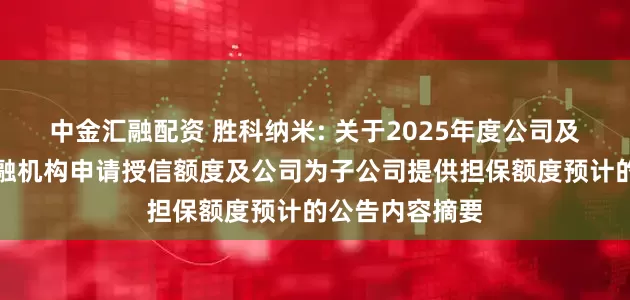 中金汇融配资 胜科纳米: 关于2025年度公司及子公司拟向金融机构申请授信额度及公司为子公司提供担保额度预计的公告内容摘要