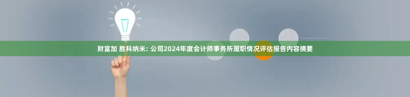 财富加 胜科纳米: 公司2024年度会计师事务所履职情况评估报告内容摘要