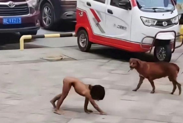 亿财配资 野人小孩父母，值得被骂